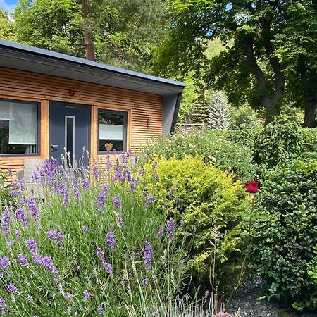 Das Ferienhaus Am Tiergarten Wernigerode Exteriör bild