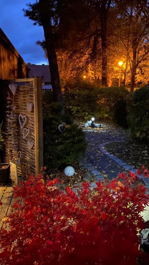 Das Ferienhaus Am Tiergarten Wernigerode Exteriör bild