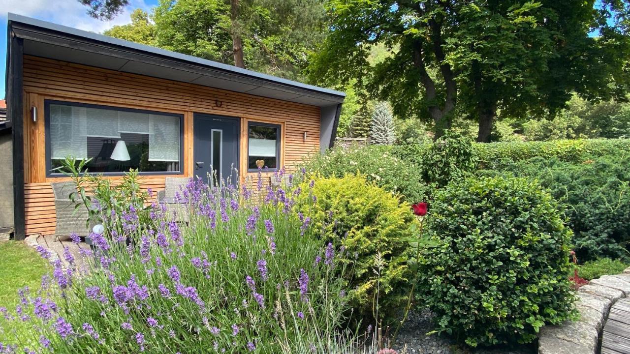 Das Ferienhaus Am Tiergarten Villa Wernigerode Exteriör bild