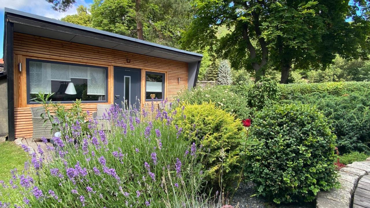 Das Ferienhaus Am Tiergarten Wernigerode Exteriör bild
