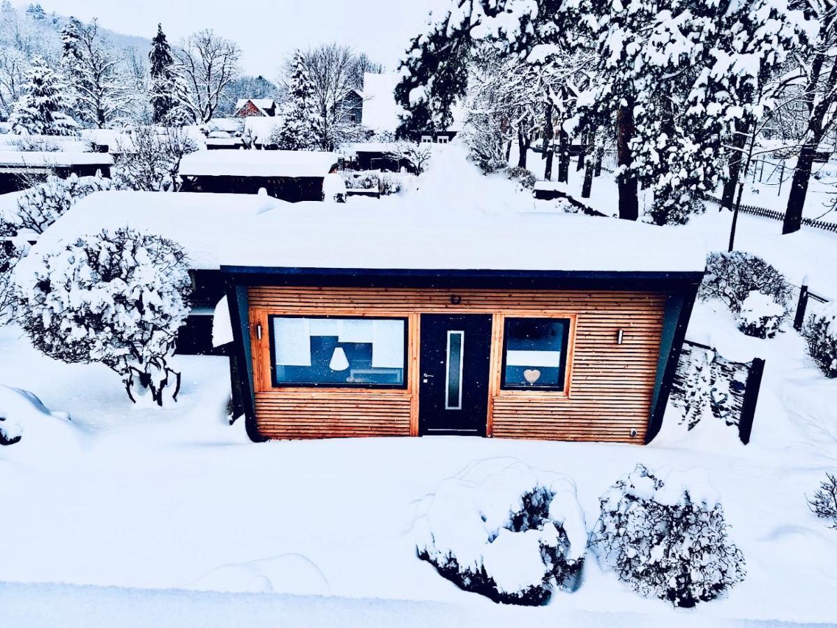 Das Ferienhaus Am Tiergarten Villa Wernigerode Exteriör bild